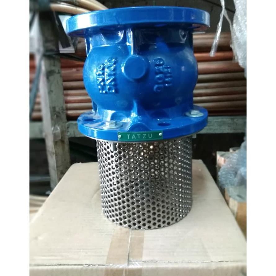 Foot Valve 6" Flange