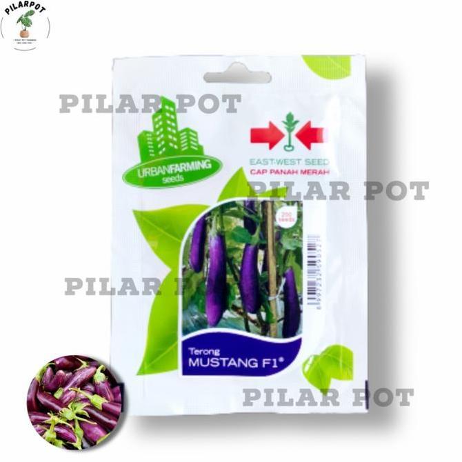 benih bibit terong ungu Mustang f1 cap panah merah - TERONG MUSTANG F1
