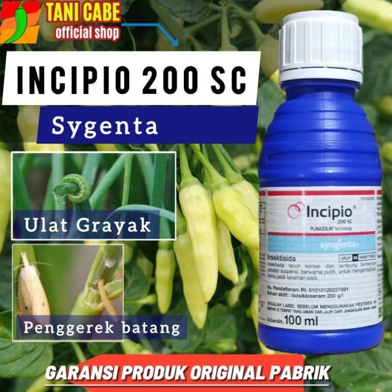 Insektisida Incipio 100 Ml Untuk Tanaman Padi