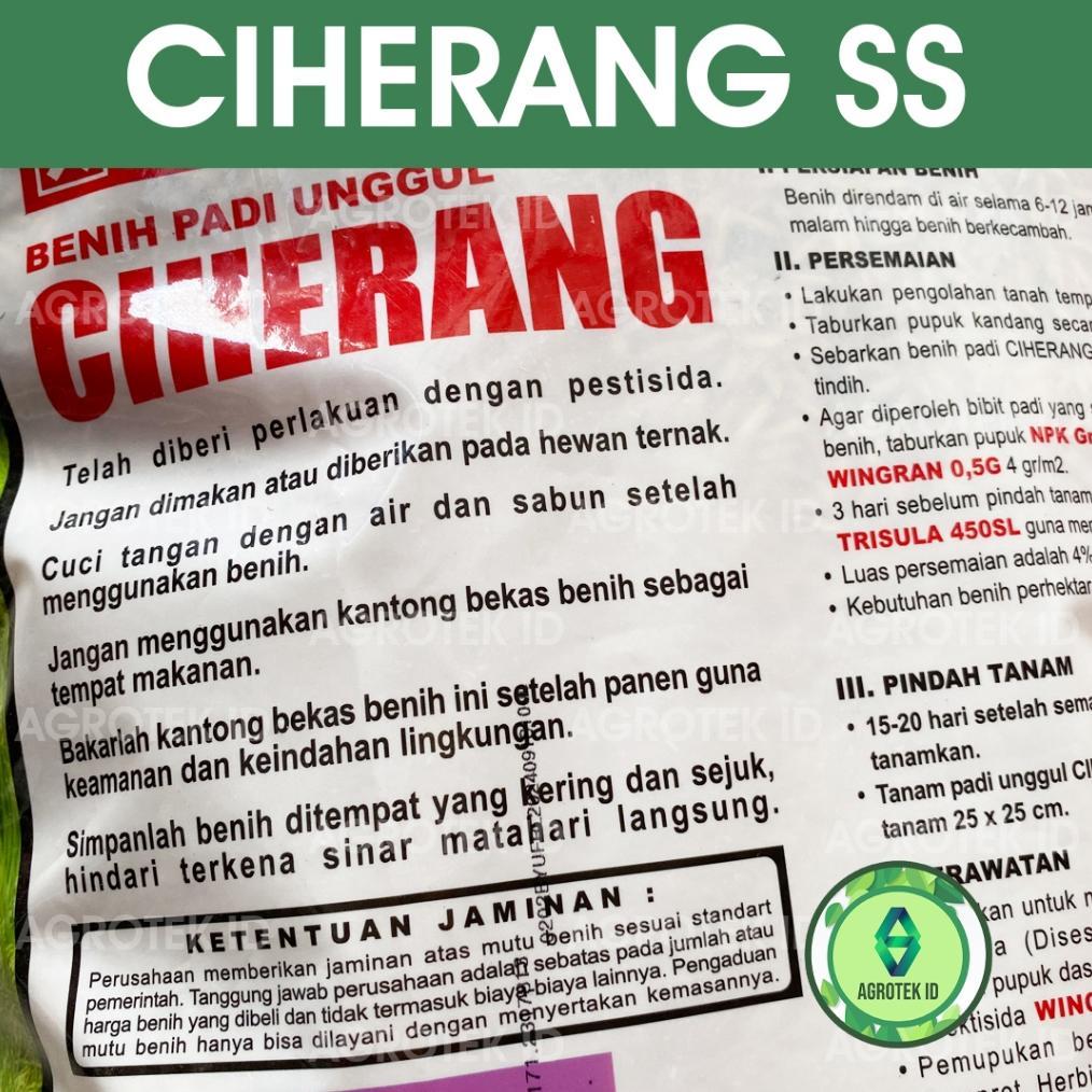 Bisa Cod Benih Padi Ciherang Ss 5 Kg Cap Kapal Terbang >>
