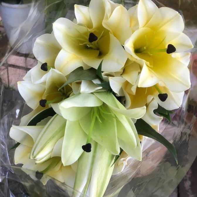 Flowbty- Bunga Lili Putih White Lily Fresh Segar Asli 5 Tangkai