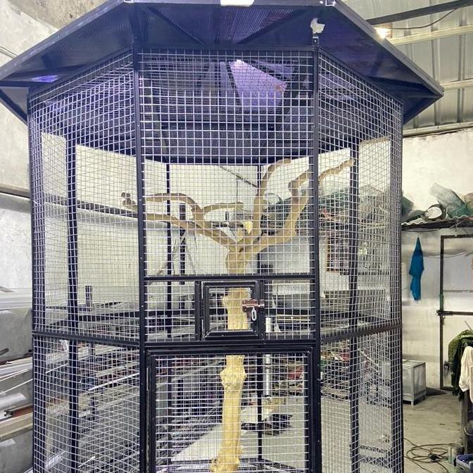 kandang aviary kandang kakatua