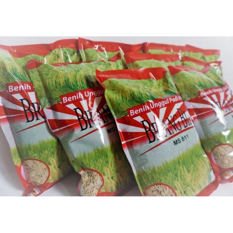 Bisa Cod Padi Hibrida Brang Biji Hasil 14 Ton/Ha >>