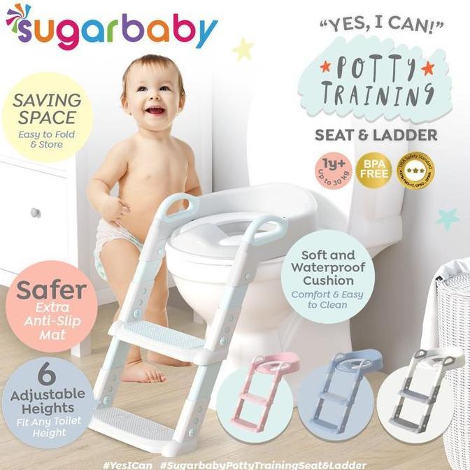 Sugarbaby Potty Training Seat&ladder / Potty Seat/Toilet Training Anak