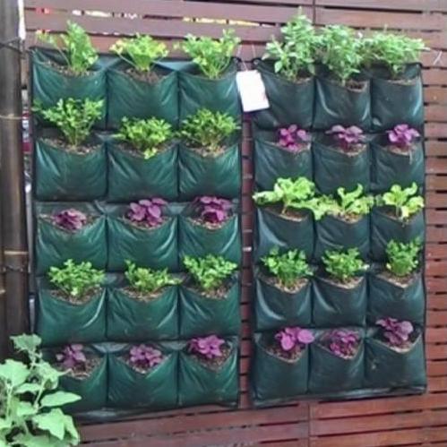 yang dicari] Wall Planter Bag 15 Kantong