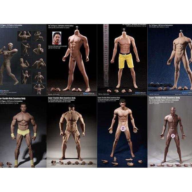 DP TBLeague M30 M31 M32 M33 M34 M35 M36A M36B 1/6 Male Seamless Body