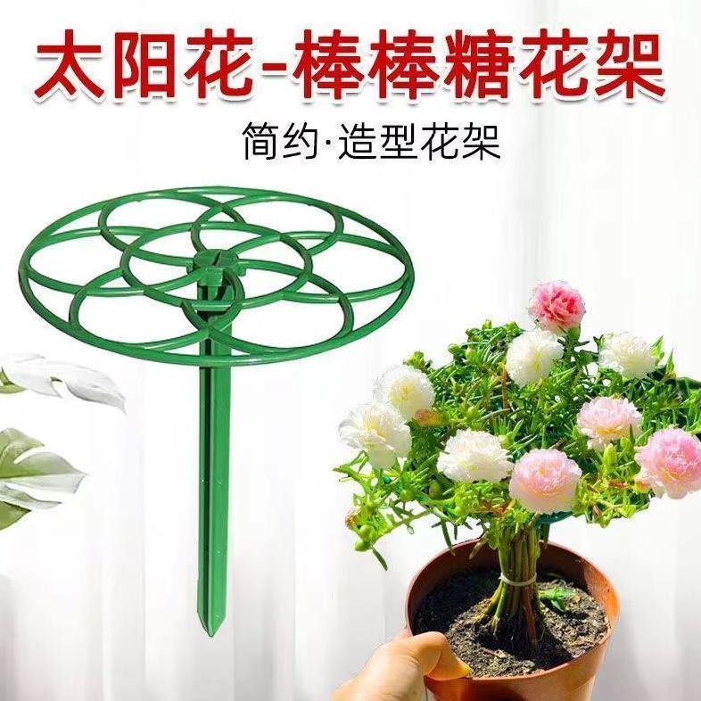 Bisa Cod Tiang Tanaman Kawat Tanaman Peyanggga Tanaman Rambat Tiang Penompak Bunga Rambatan Tanaman 