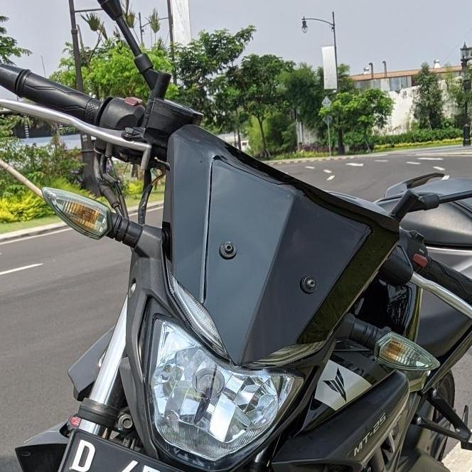 Windshield/Visor MT-25 Smoke