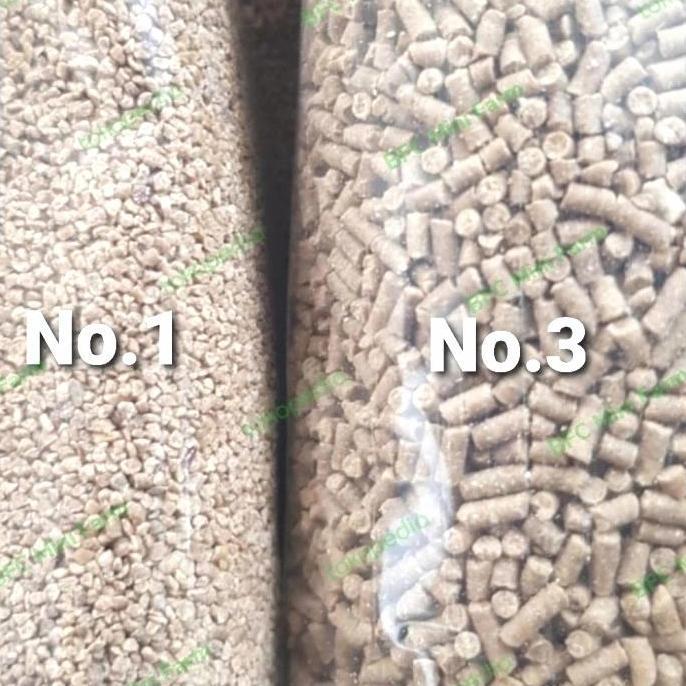 Pakan/Pelet Lobster Air Tawar BFC Mini Farm