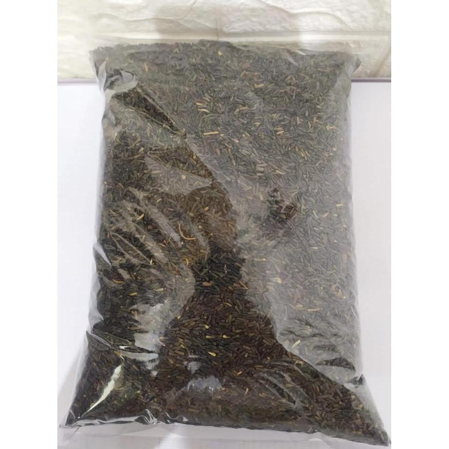 Tqs Niger Seed 1Kg Pakan Burung Red Siskin Kenari Love Bird Blacktroat