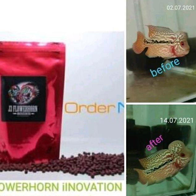 PELET EKSTREM RED J3 Flowerhorn Size S & M Mempercepat Warna Merah & Nafsu Makan Ikan Kandungan Nutr