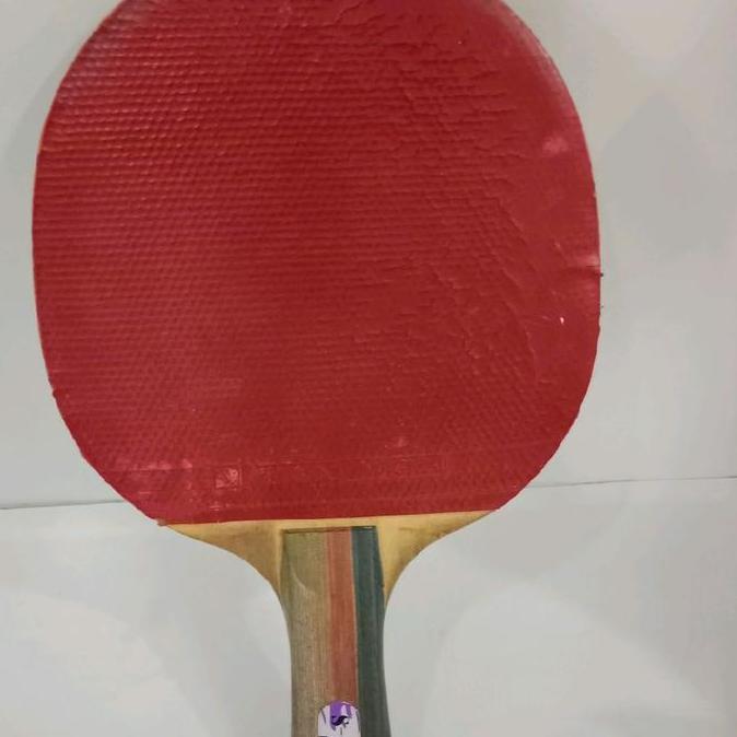 Bet Tenis Meja Stiga Force 204