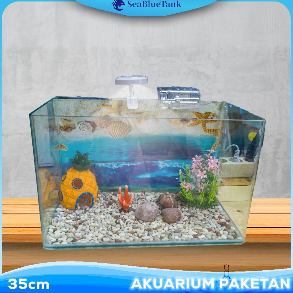 SBT AQUARIUM PAKET 35CM / AQUARIUM MELENGKUNG / AQUASCAPE / AQUARIUM BENDING