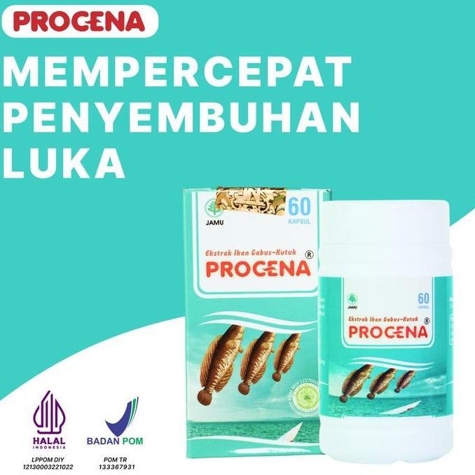 Kapsul Ikan Gabus Terbaik Albumin Procena Kapsul Ekstrak Ikan Kutuk Original Paket 3 Botol (TERBAIK)