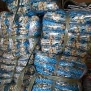 Thebest- Kacang Atom Putri Panda isi 40pc/bal