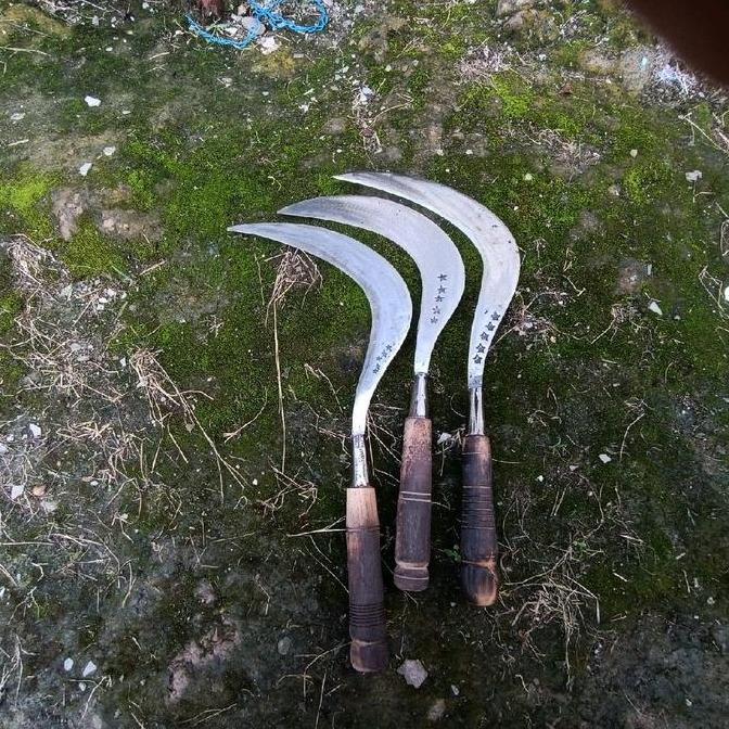 ALAT PERTANIAN SABIT BINTANG LIMA bahan baja full asli kuat rekomendasi buat berkebun cari rumput (T