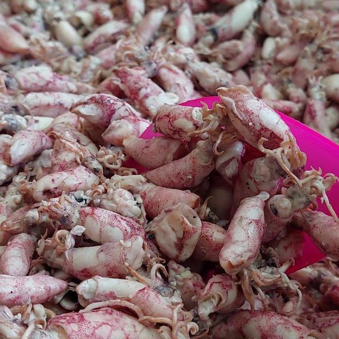 cumi baby asin 1kg/baby cumi asin 1kg