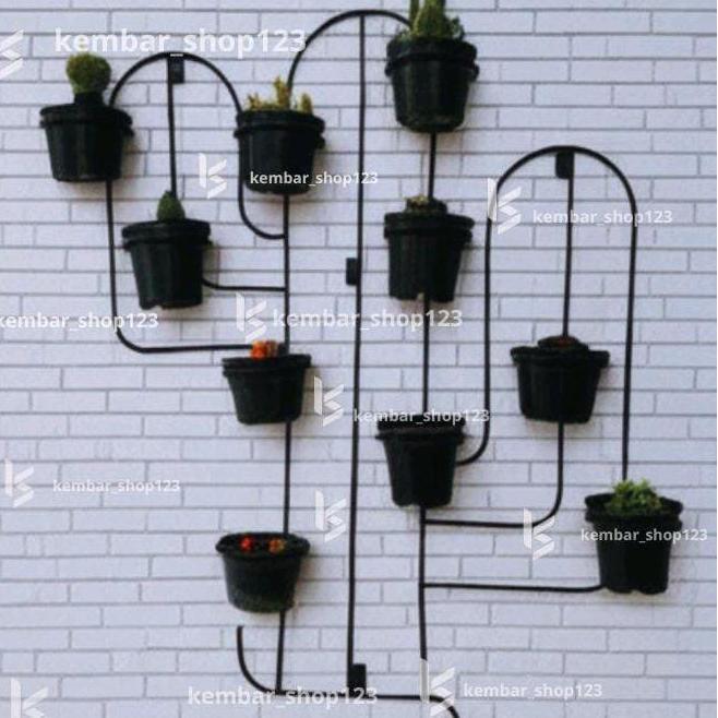 Ground- Rak Pot Kaktus Tempel Dinding / Rak Kaktus Dinding / Rak Bunga Kaktus