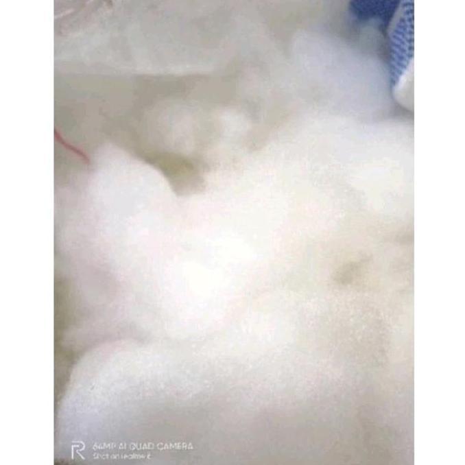 Lelap- Cod Silikon/ Dakron Super Brendis Kemasan 1Kg (1000 Gr) Kualitas Grade A Super Lembut Putih