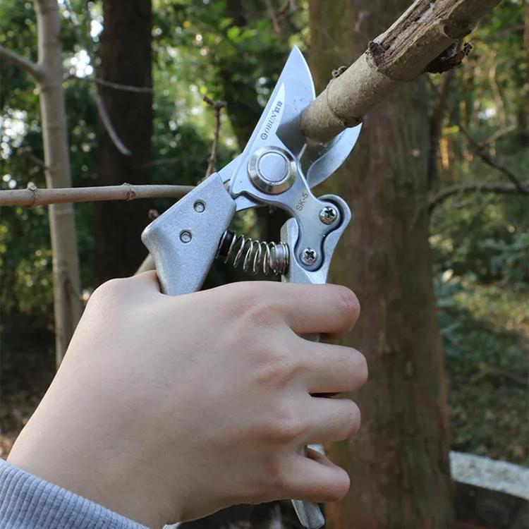 8" KAPUSI Silver SK5 Gunting Dahan Ranting Kapusi Gunting Bonsai Kapusi Japan Stainless Steel