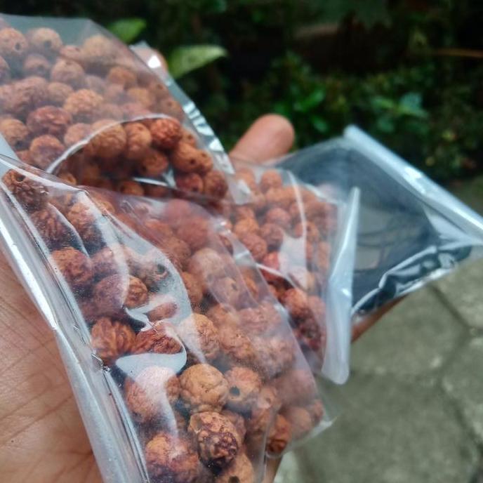 Otwkirim- 108Butir Bahan Tasbih Gelang Kalung Biji Bidara Arab Sudah Lobang