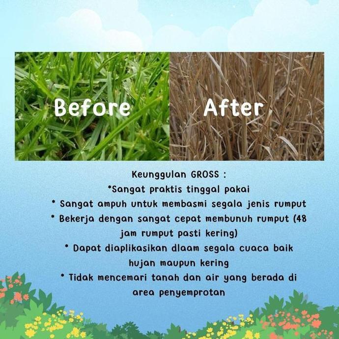 Siappgass- Gross Racun Rumput, Herbisida, Pembasmi Rumput Liar Ampuh