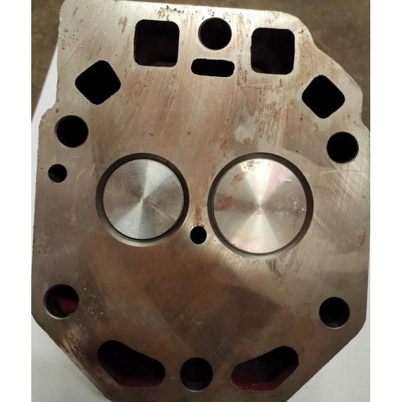 Cylinder Head Zs1125 Complete Cylinder Head Diesel Zs1125