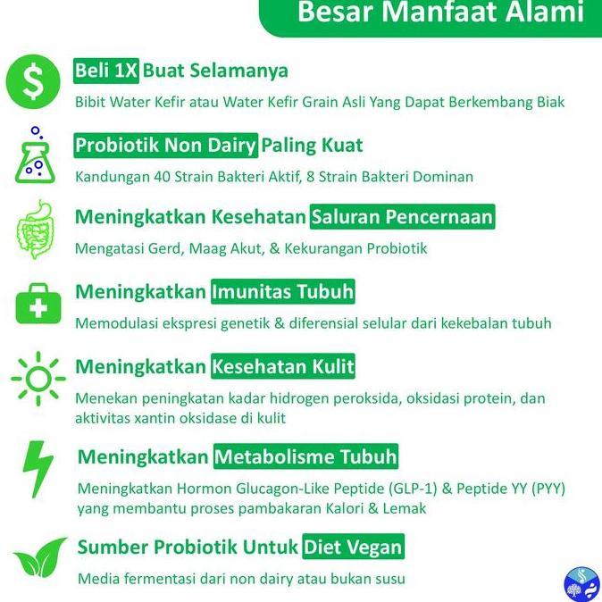 Milkouit- Water Kefir Grain | Alga Kristal | Alga Jepang | Tibicos | Kefiree | Bibit Water Kefir Gra