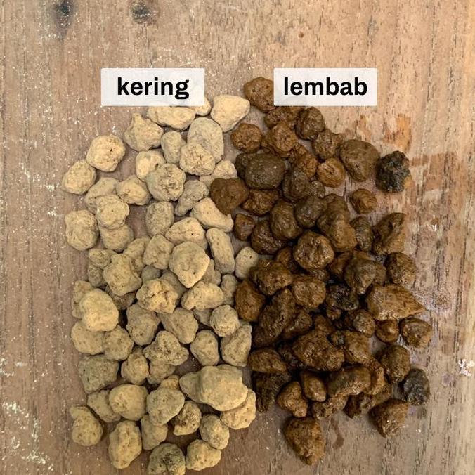 Allthebest- Akadama Soil - Media Tanam Tanaman Hias Kaktus Sukulen High Quality