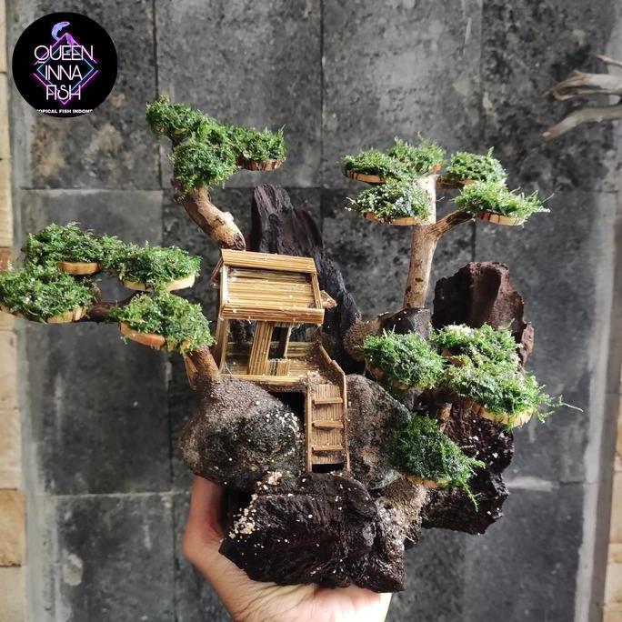 paket aquascape bonsai lengkap mini 30 cm / aquascape fullset