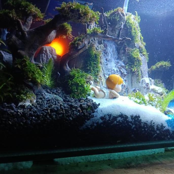 aquascape mini waterfall fullset / Tinggal Pajang