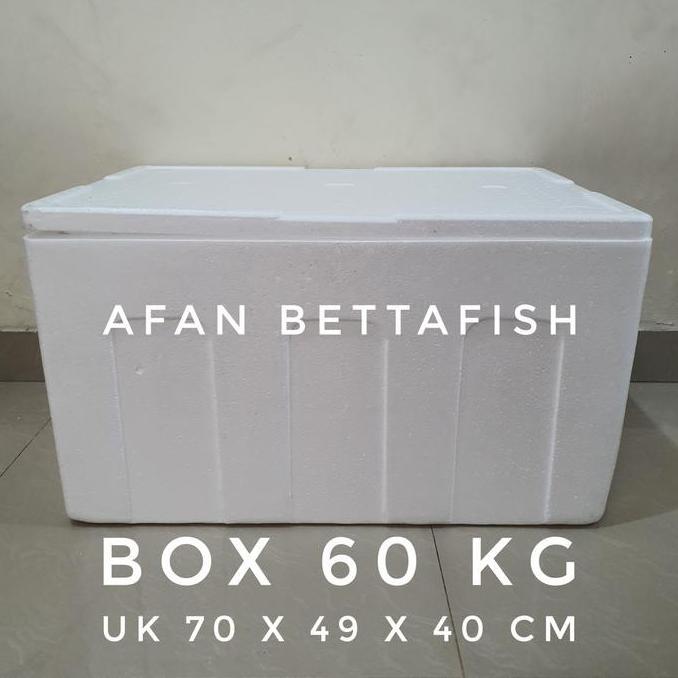 STYROFOAM BOX 60KG 70 x 49 x 40 CM BOX STEREFOAM 60 KG