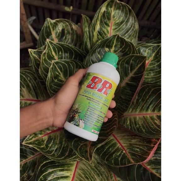 Promo Cod Br Poc (Pupuk Organik Cair) Kemasan 500Ml // Pupuk Cair Organik // Pupuk Tanaman Hias // P