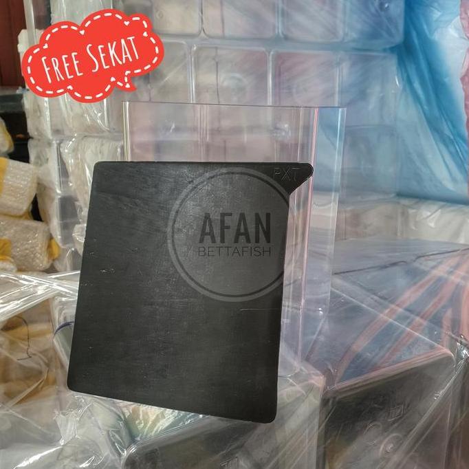 Blebeb- Toples Soliter Akrilik 4 Liter Paxton