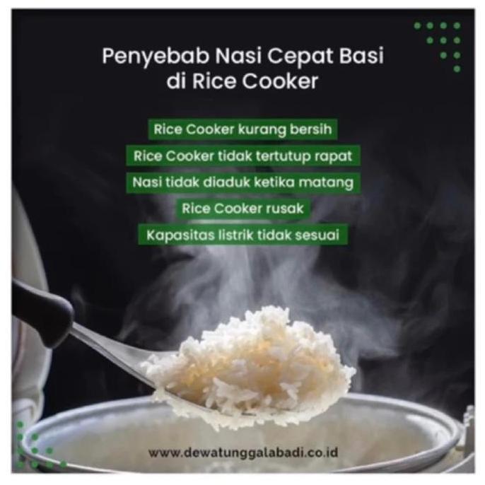 beras merah organik 5kg