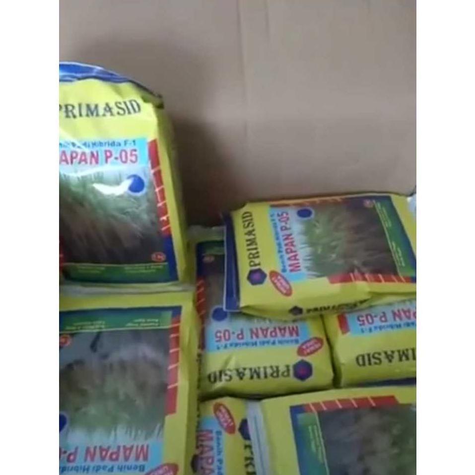 Bisa Cod Hot Salle~Benih Padi Mapan 05 / Bibit Padi Mapan 05 Asli Original Exp 2026 >>