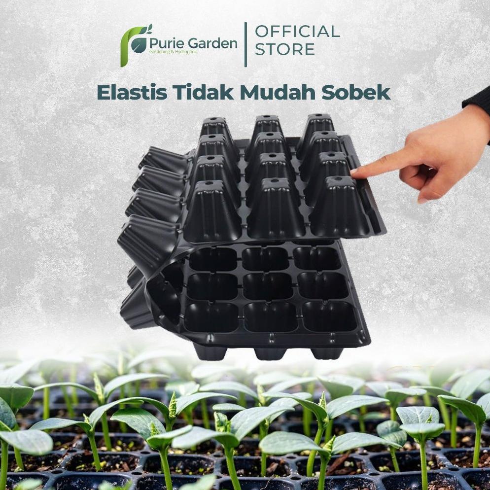Bisa Cod Tray Semai 200 Lubang Pot Tray Penyemaian Bibit Tanaman Purie Garden ...