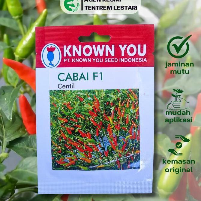 PROMO Benih Cabe Rawit Tegak F1 CENTIL 100 seed Known You Seed