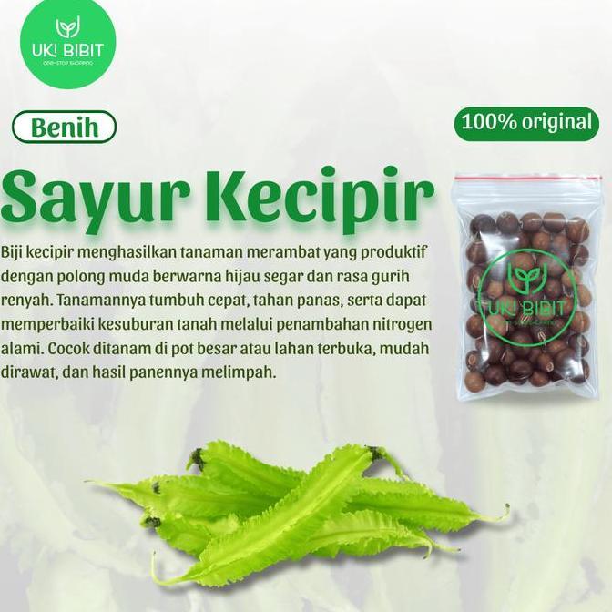 PROMO ( 1 Kg ) Benih Biji Sayuran Kecipir Lalap | Kecipir Sayur | Kecipir Hijau
