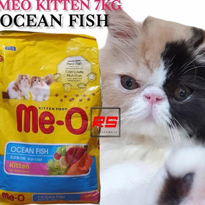 Meo kitten 7kg ocean fish makanan kucing