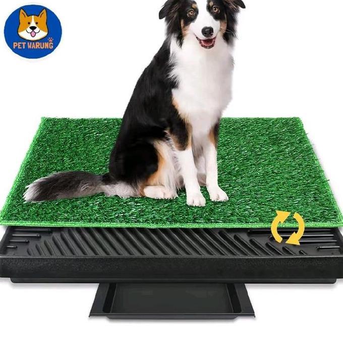 Pet Potty Tray Alas Pipis Anjing - Dog Toilet with Grass Large