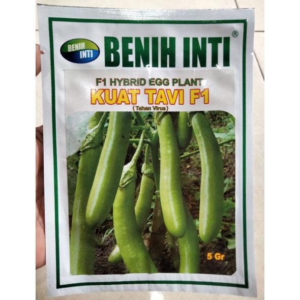 Benih Terong Hijau KUAT TAVI F1 5 Gram Benih Inti - Bibit Terong Ijo KUAT TAVI