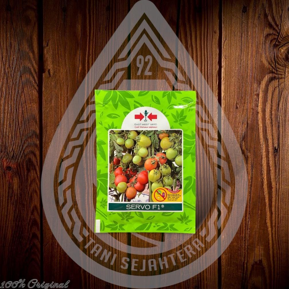 Benih Tomat Hibrida Servo F1 - 1750 Butir