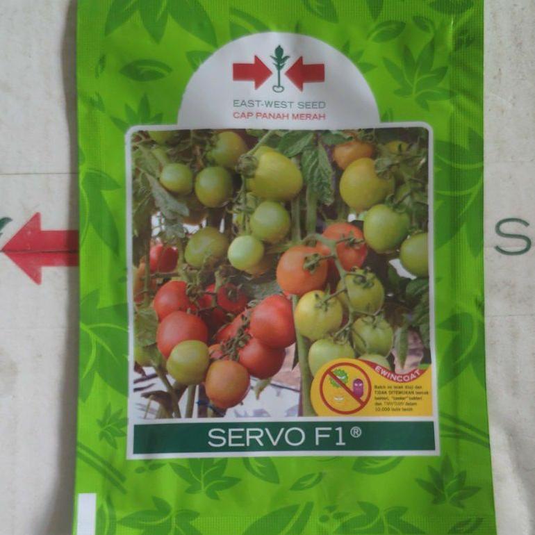 Benih Tomat Servo F1 Cap Panah Merah Unggulan