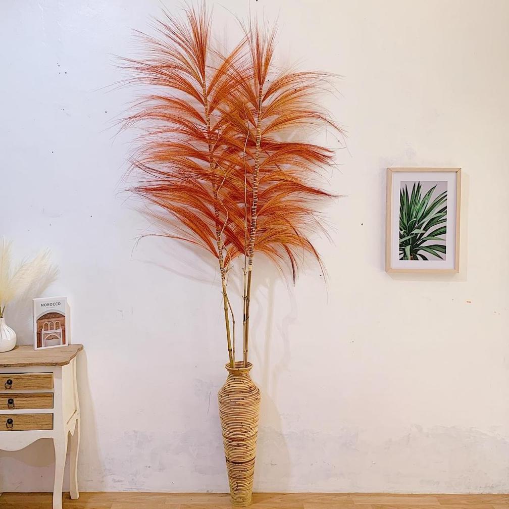 Tahan Lama Home Decor Rayung Kering / Rayung Panjang / Rayung Natural / Rayung Rustic / Dekorasi Ray