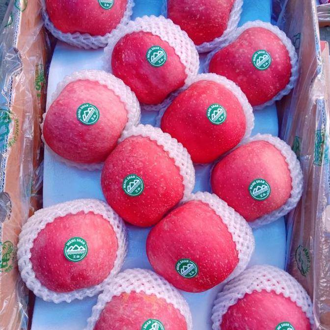 Frutexz- Apel Fuji | Apel Fuji Jumbo | Apel Fuji Wangshan Jumbo