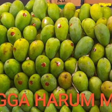 Frutexz- Mangga Harum Manis Tua Pohon ( Bukan Matang Pohon ) Pemalang
