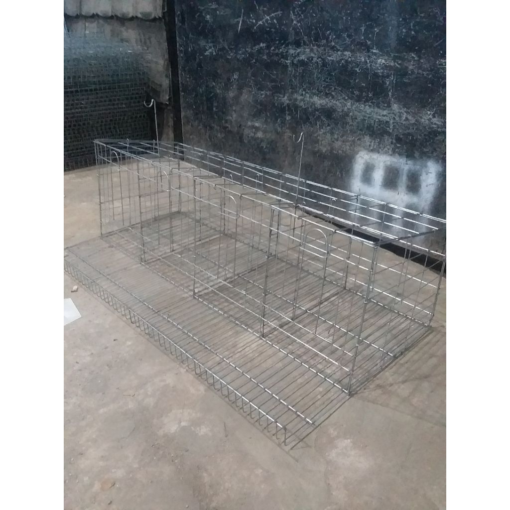 kandang ayam petelur 4pintu