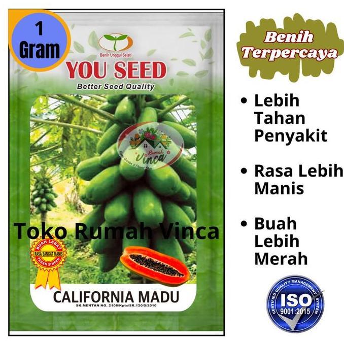 Bibit Biji PEPAYA CALIFORNIA MADU dari CAP YOU SEED  Benih Pepaya