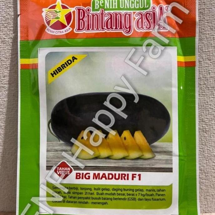 NEW Benih Semangka Big Maduri 20gram